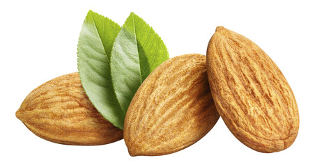 Obraz na płótnie Canvas Delicious almonds cut out