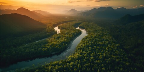 AI Generated. AI Generative.  Aerial drone top high shot photo illustration of green forest and river. Sunset adventure vibe. Graphic Art