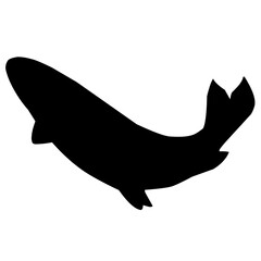 Salmon Fish Silhouette 