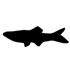 Salmon Fish Silhouette 