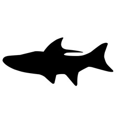 Salmon Fish Silhouette 