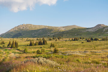 Naklejka premium Summer Mountain Landscape . Vitosha Mountain ,Bulgaria 