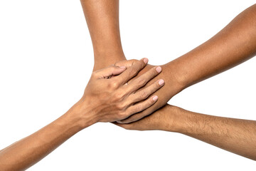 The hand gesture of friendship