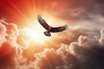 Fototapeta na wymiar big eagle flying on background