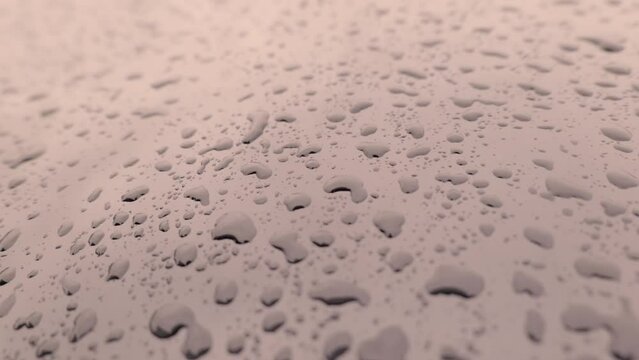 delle belle gocce d'acqua dopo la pioggia su una superficie lucida