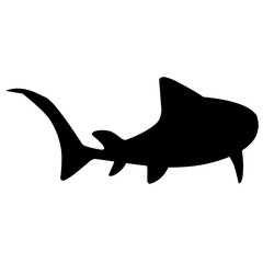 Shark Silhouette 