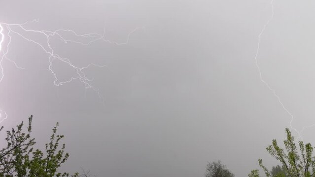View with grey sky, flashes, thunderstorm clouds, lightning in slow motion and spring trees. Stormy view with a cloudy sky during spring storm and lightning discharges and trees. 