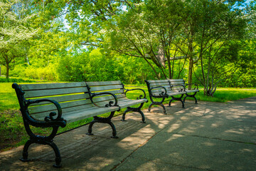 Benches in the park. A tranquil resting area on the footpath at Roger Williams Park, Providence, Rhode Island