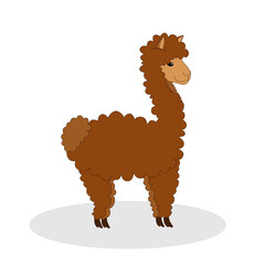 Llama cartoon alpaca. Alpaca animal vector isolated illustration.