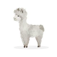 Fototapeta premium Llama cartoon alpaca. Alpaca animal vector isolated illustration.