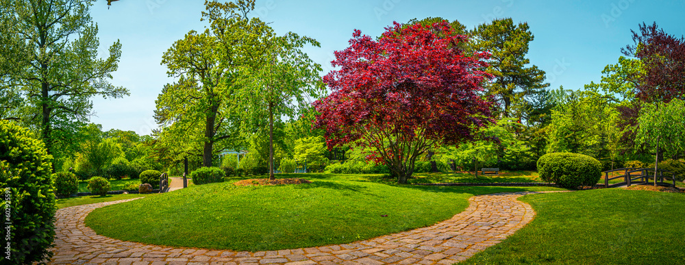 Wall mural japanese garden at roger williams park, providence, rhode island, circular footpath, red maple and g