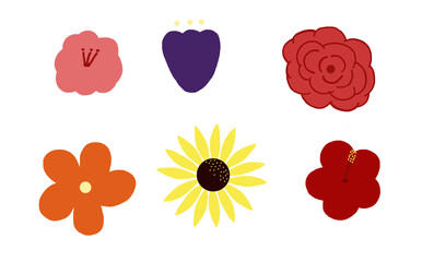 Set of flower heads in a simple style, isolated on transparent background. Bright colours. design element greeting card. Rose sunflower hibiscus. cartoon tropical