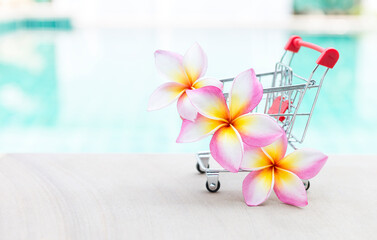 Plumeria flower in shopping cart toy over blurred swimming pool background, spring and summer concept, outdoor day light