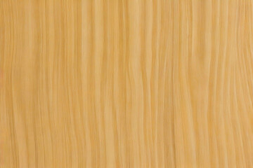 wood texture background