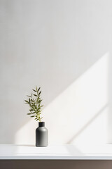 Clean and Crisp: Minimalistic Background for Perfect Product Photography and Engaging Social Media Content