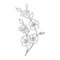 Hand Drawing Flower Outline Vector Illustration 