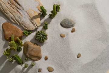 Summer concept with many types of green Cactus, colorful stones and gravels decorated on the sand. Copy space, blanks space on the right side