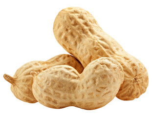 peanut isolated on white background, full depth of field