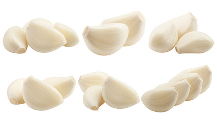 garlic, isolated on white background, full depth of field