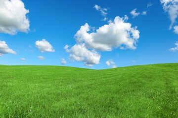Green grass and blue sky with white fluffy clouds, beauty nature background. Perfect summer greenery field, hill, grassland. Nature environment landscape, lush green grass meadow, blue sky