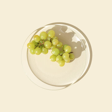Natural White grapes on glass transparent plate with shadows at sunlight, minimal style summer fruit still life photo. Green berries of grape on beige background, healthy vegan sweet food
