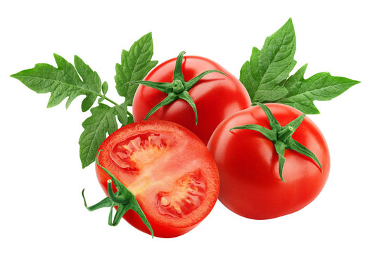 tomato isolated on white background, full depth of field - Powered by Adobe