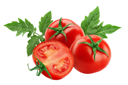 tomato isolated on white background, full depth of field