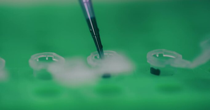 Scientist Working in Medical Laboratory Cancer Research Covic 19 Pandemic