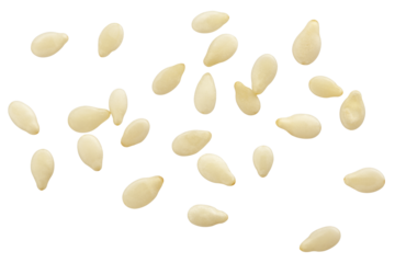 sesame isolated on white background, full depth of field