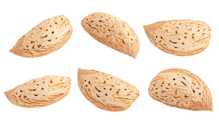 almond isolated on white background, full depth of field