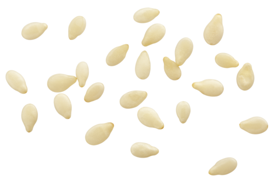 sesame isolated on white background, full depth of field