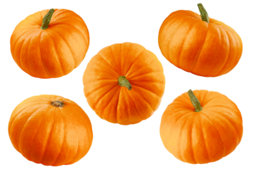 Pumpkin isolated on white background, full depth of field