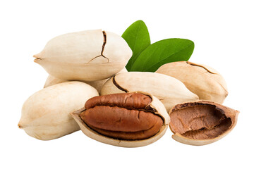 pecan, nut, isolated on white background, full depth of field