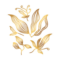 Golden Floral Vector Illustration with Line Style. Luxury Hand Drawn Flowers