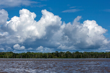 Clouds form over the Amazon River and adjoining forest near Iquitos in Peru.