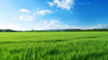 Fototapeta premium Idyllic landscape with blooming meadows in springtime. Generative AI.