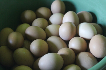 pile of raw chicken eggs in a plastic container