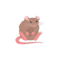 Cute sitting rat character cartoon flat cartoon vector illustration isolated.