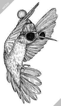 Vintage engraving isolated hummingbird set glasses dressed fashion illustration ink humming costume sketch. Bird background colibri tropical silhouette sunglasses hipster hat art. Vector image