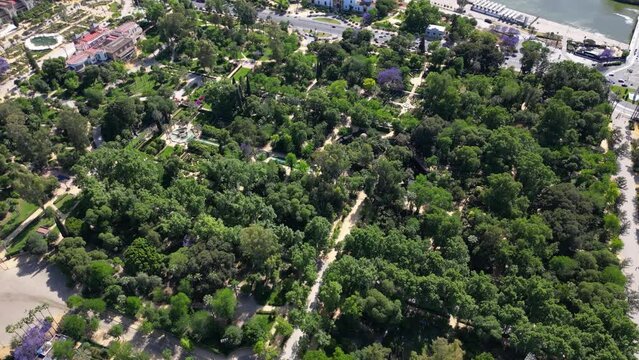 Drone shot of Maria Luisa Park in Seville, Andalusia, Spain