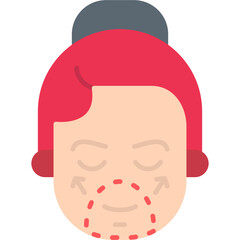 Facial Plastic Surgery Icon