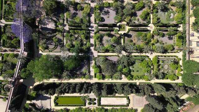 Gardens of Alcazar of Seville (Reales Alcazares de Sevilla), Andalusia, Spain