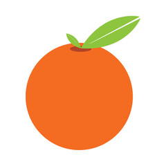 citrus fruit icon vector