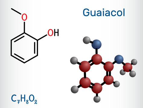 Guaiacol molecule. It is expectorant, disinfectant, plant metabolite. Present in wood smoke. Structural chemical formula, molecule model