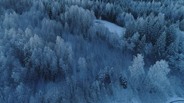 A drone captures the most cinematic look of a Siberian ice forest landscape