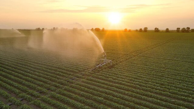 Aerial view drone shot of irrigation system on agricultural soybean field at sunset helps to grow plants in the dry season. Beautiful summer landscape rural scene