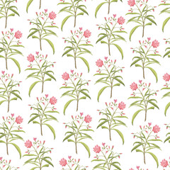 Tropical life nature watercolour seamless pattern clipart floral wall art  