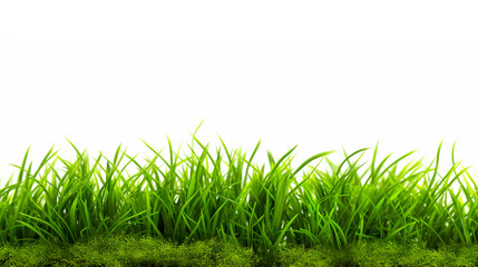 green grass and moss isolated on white. close up generative ai image