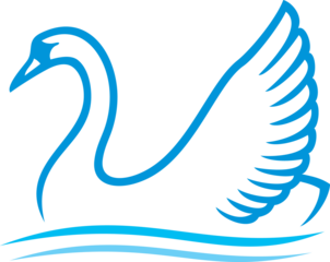 Swan Bird PNG Illustration