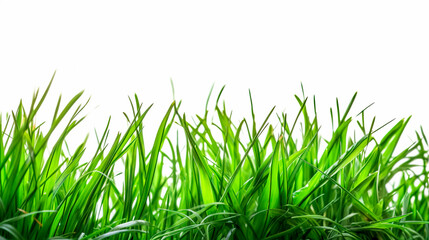 green grass isolated on white. Generative ai